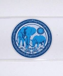 Card antifurt pentru anul 2025 - steaua #7