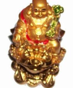 Buddha al bogatiei pe broasca cu Ru Y