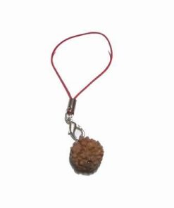 Canaf feng shui cu Rudraksha pentru succces profesional