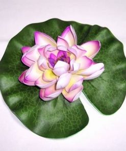 Lotus mov
