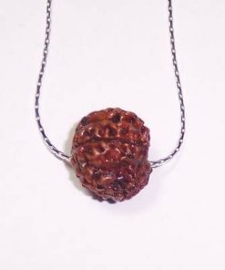 Rudraksha -putere si noroc