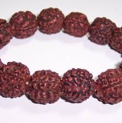 Bratara cu Rudraksha