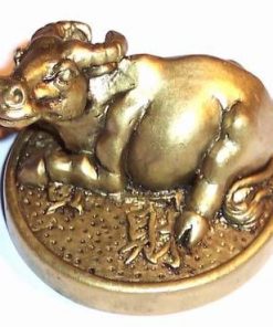Bivolul auriu pe moneda - remediu Feng Shui pentru copii