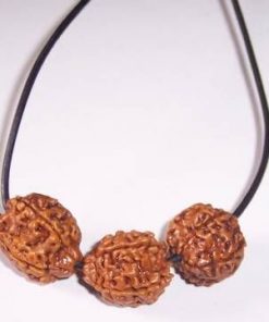 Colier Feng Shui cu Rudraksha, pe siret negru