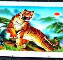Tablou Feng Shui 3D, cu Tigrul Succesului