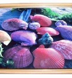 Tablou Feng Shui cu scoicile dragostei