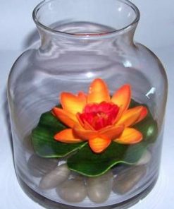 Bol din sticla cu pietre naturale si nufar orange