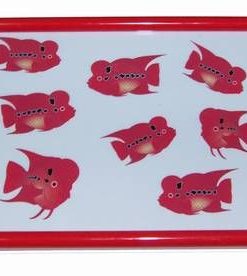 Tablou cu 8 pesti Flower Horn / Hua Luo Han