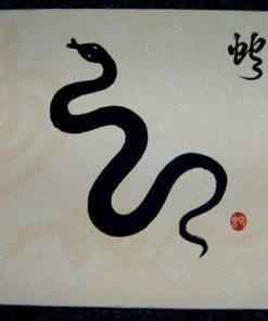 Tablou Feng Shui cu Sarpele Sanatatii