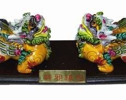 Leii Fujian de protectie si forta financiara