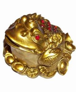 Broasca raioasa aurie pe lotus, cu 8 monede