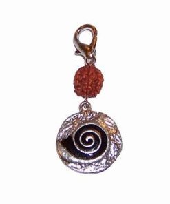 Remediu Feng Shui cu Rudraksha si simbol Reiki