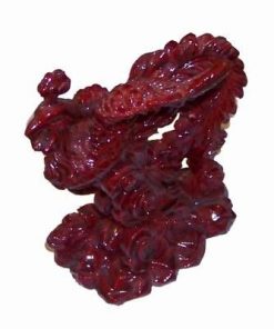 Phoenix-ul Rosu - remediu Feng Shui