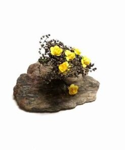 Set decorativ Feng Shui cu trandafiri galbeni