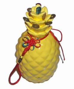 Ananas din ceramica cu Nod mistic si monede