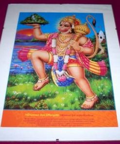 Tablou Feng Shui cu zeul maimuta Hanuman