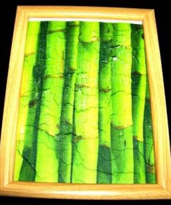 Tablou Feng Shui cu bambus