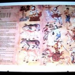 Tablou Feng Shui pentru nativii zodiei Bou/Bivol